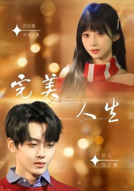 完美人生2026海报