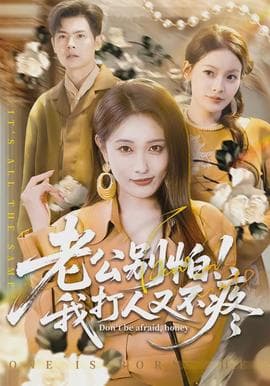 老公别怕！我打人又不疼海报