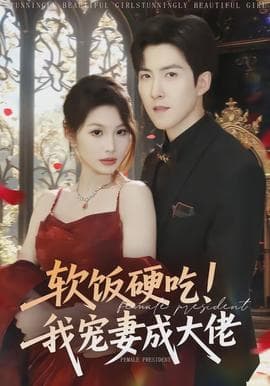 软饭硬吃！我宠妻成大佬海报