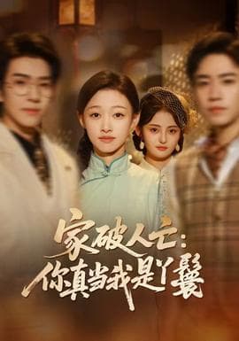 家破人亡：你真当我是丫鬟啊海报