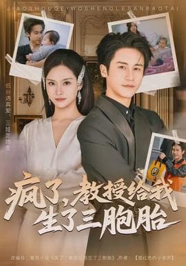 疯了，教授给我生了三胞胎海报