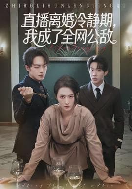 直播离婚冷静期，我成了全网公敌海报