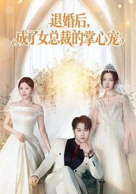 退婚后，成了女总裁的掌心宠海报