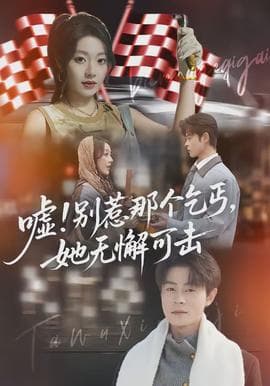 嘘别惹那个乞丐她无懈可击海报