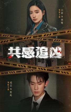 共感追凶海报
