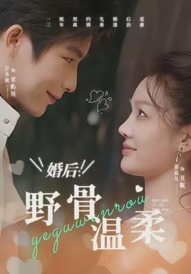 婚后：野骨温柔海报