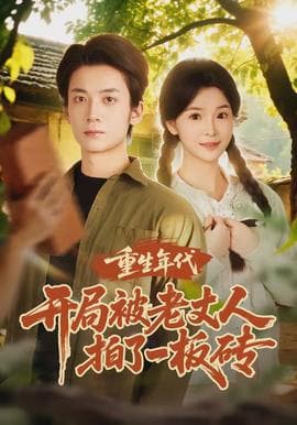 重生年代开局被老丈人拍了一板砖海报
