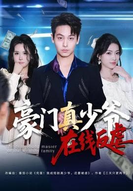 豪门真少爷在线反虐海报