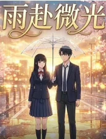 雨赴微光海报