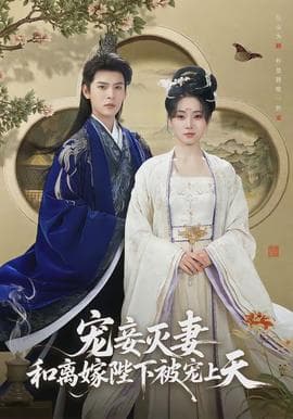 宠妾灭妻，和离嫁陛下被宠上天海报
