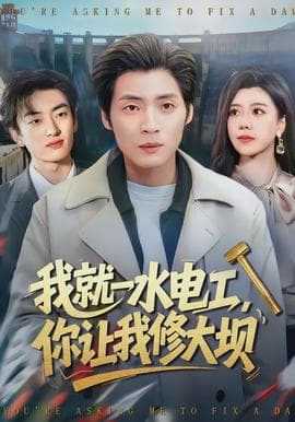我就一水电工，你让我修大坝海报