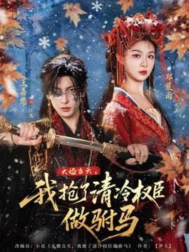 大婚当天，我抢了清冷权臣做驸马海报