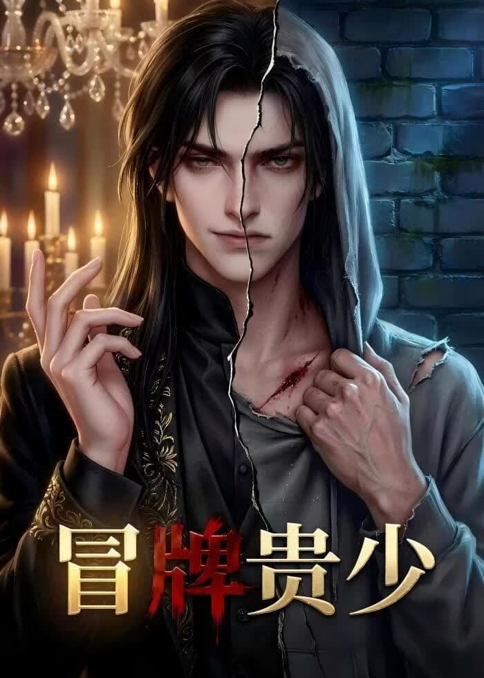冒牌贵少海报