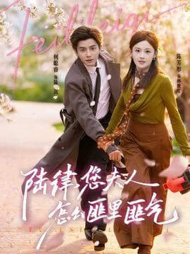 陆律，您夫人怎么匪里匪气海报