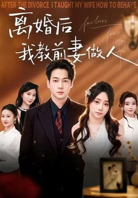 离婚后我教前妻做人海报