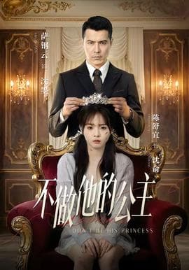 不做他的公主海报
