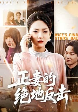 正妻的绝地反击海报