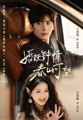 婚既钟情，春山可望海报