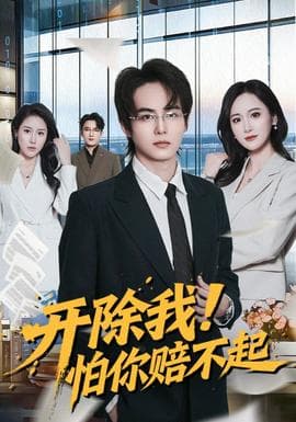 开除我！怕你赔不起海报