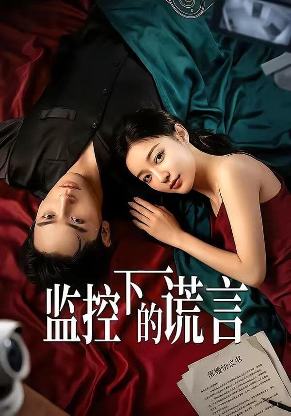 监控下的谎言海报