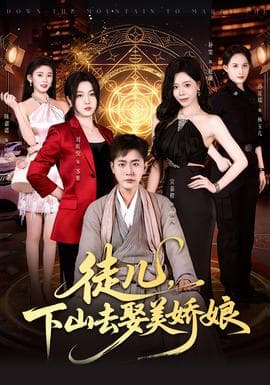 徒儿，下山去娶美娇娘海报
