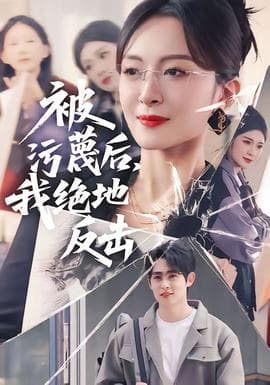 被污蔑后，我绝地反击海报