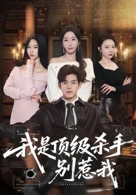 我是顶级杀手，别惹我海报
