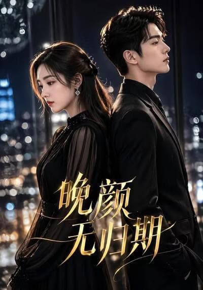 晚颜无归期海报