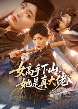 女高手下山，她是真大佬海报