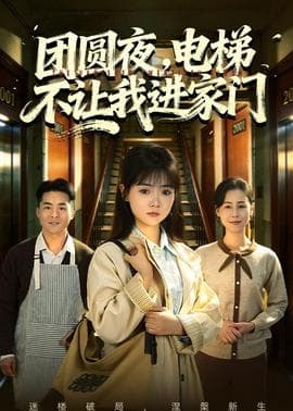 团圆夜，电梯不让我进家门海报