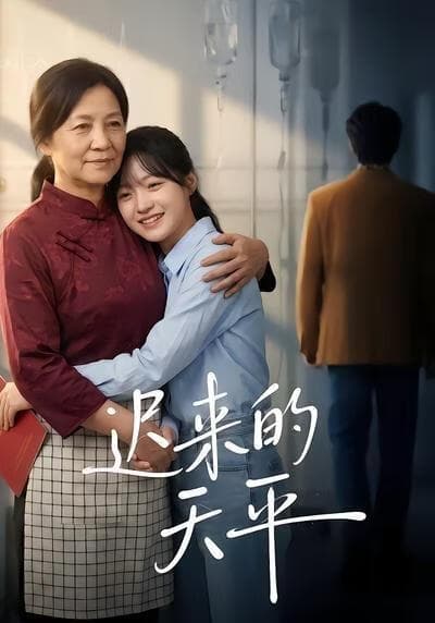 迟来的天平海报
