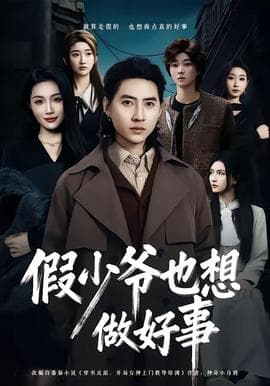 假少爷也想做好事海报