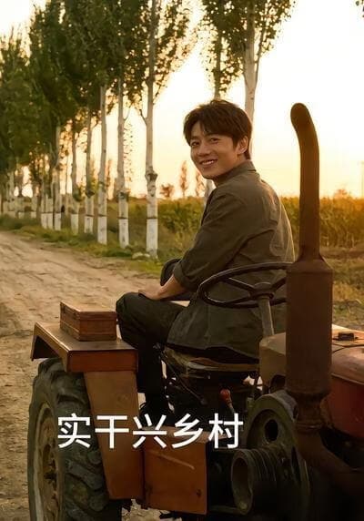 实干兴乡村海报