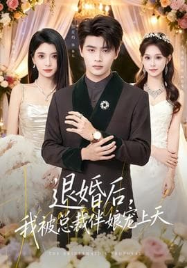 退婚后，我被总裁伴娘宠上天海报
