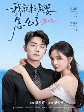 我就怕老婆怎么了第二季海报