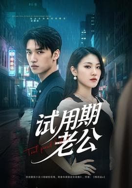 试用期老公海报