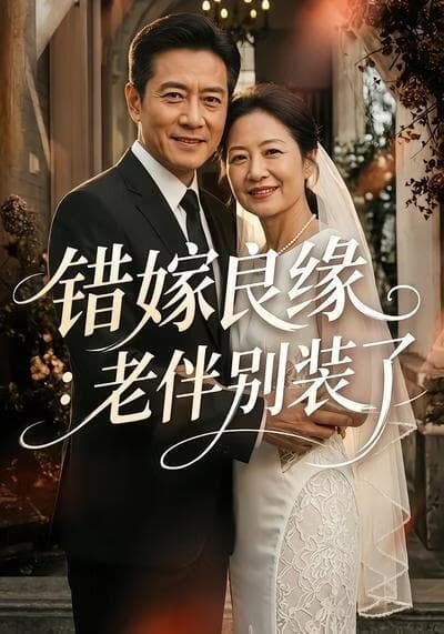 错嫁良缘：老伴别装了海报