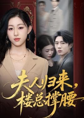 夫人归来，楼总撑腰海报