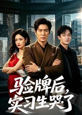验牌后，实习生哭了海报