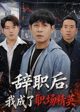 辞职后，我成了职场精英海报