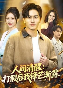 人间清醒：打假后我锋芒渐露海报