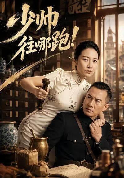 少帅往哪跑海报