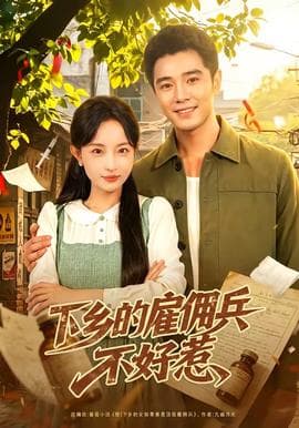 下乡的雇佣兵不好惹海报