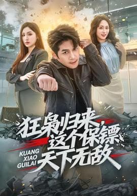 狂枭归来，这个保镖天下无敌海报