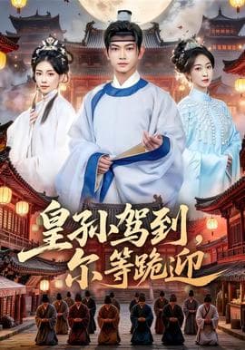 皇孙驾到，尔等跪迎海报
