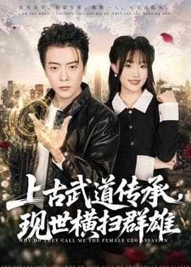 上古武道传承，现世横扫群雄海报