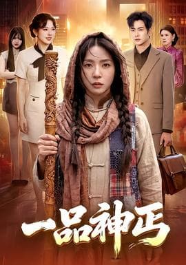 一品神丐海报