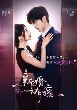 新婚有瘾海报