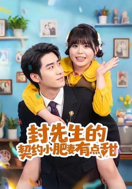 封先生的契约小肥妻有点甜海报