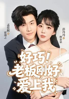 好巧！老板刚好爱上我海报